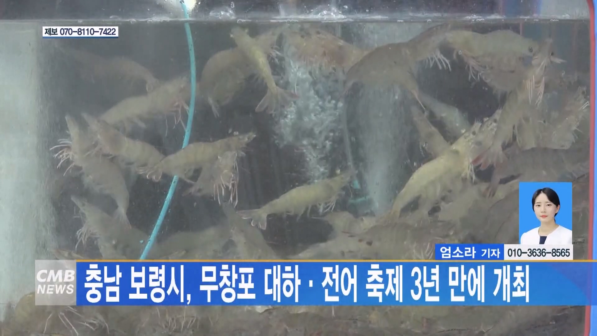 [0919 CMB 5시뉴스]보령시 무창포 대하·전어 축제 3년 만에 개최